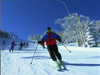 Skiing in Taos