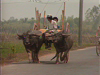 Vietnam Sights