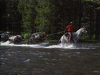 Wyoming Pack Trip