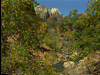 Zion National Park History