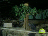 Zoo Makeovers - Cleveland